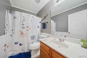 1102 Danielle Elizabeth Ct, O'Fallon, MO 63366 - Photo 19