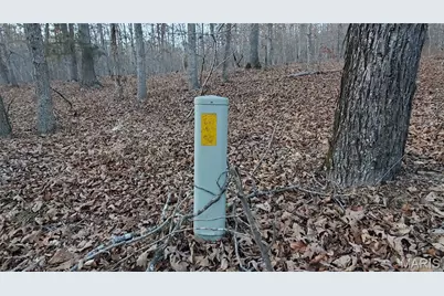 00 County Road 714, Washington, MO 63638 - Photo 13