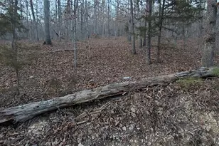 00 County Road 714, Washington, MO 63638 - Photo 1