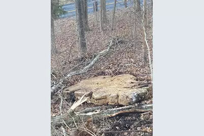 0 Gravois Road, House Springs, MO 63051 - Photo 11