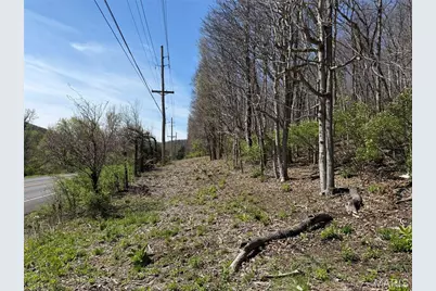 0 Gravois Road, House Springs, MO 63051 - Photo 7