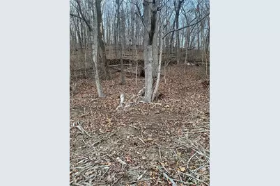 0 Gravois Road, House Springs, MO 63051 - Photo 15