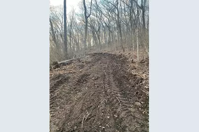 0 Gravois Road, House Springs, MO 63051 - Photo 3