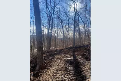 0 Gravois Road, House Springs, MO 63051 - Photo 1