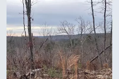 187 Madison Cr 410, Fredericktown, MO 63645 - Photo 1