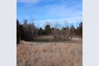 33 County Road 55, Bellerive, MO 63623 - Photo 11
