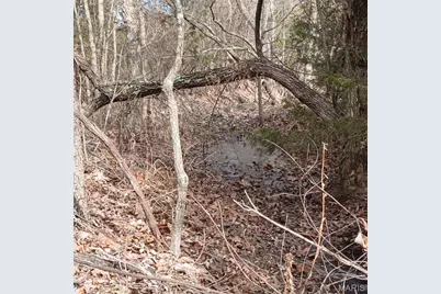 33 County Road 55, Bellerive, MO 63623 - Photo 11