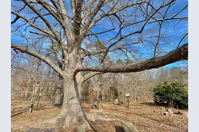 15303 E Highway 32, Boss, MO 65440 - Photo 37