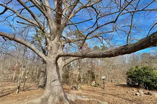 15303 E Hwy 32, Boss, MO 65440 - Photo 37