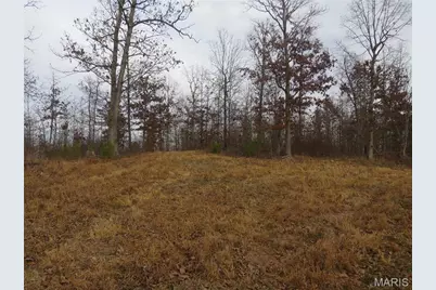 0 County Road 422, Washington, MO 63638 - Photo 7