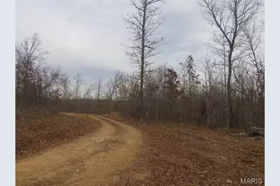 0 County Road 422, Washington, MO 63638 - Photo 3