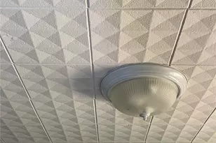 435 Adrian Dr, Saint Louis, MO 63137 - Photo 29