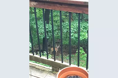 1315 Ridge Road, Wildwood, MO 63021 - Photo 99