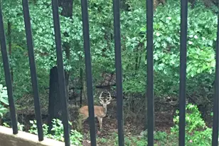 1315 Ridge Rd, Wildwood, MO 63021 - Photo 99