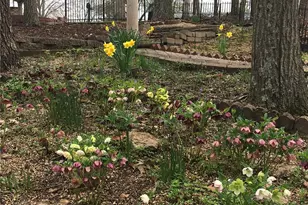 1315 Ridge Rd, Wildwood, MO 63021 - Photo 67