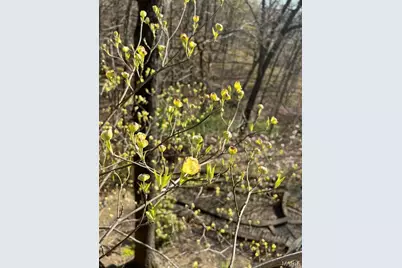 1315 Ridge Road, Wildwood, MO 63021 - Photo 81