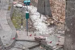 1315 Ridge Rd, Wildwood, MO 63021 - Photo 75