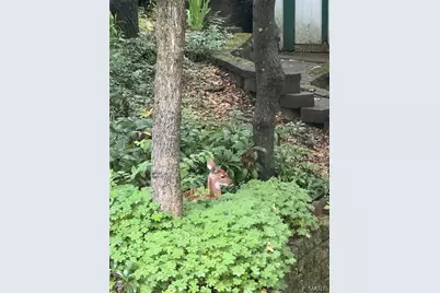 1315 Ridge Road, Wildwood, MO 63021 - Photo 65