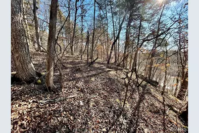 227 Champion Oak Trail, Gerald, MO 63037 - Photo 13