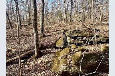 227 Champion Oak Trail, Gerald, MO 63037 - Photo 23