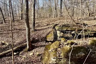 227 Champion Oak Trail, Gerald, MO 63037 - Photo 23