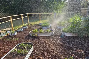 900 Preston Ave, Richland, MO 65556 - Photo 5