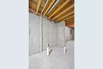 19 Parkville Lane, Festus, MO 63028 - Photo 25