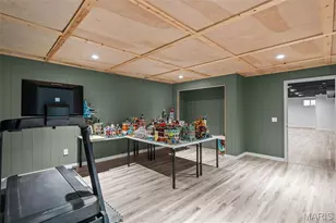 1561 Timber Wolf Dr, Festus, MO 63028 - Photo 59