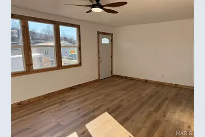 1109 Ohio Street, Louisiana, MO 63353 - Photo 3