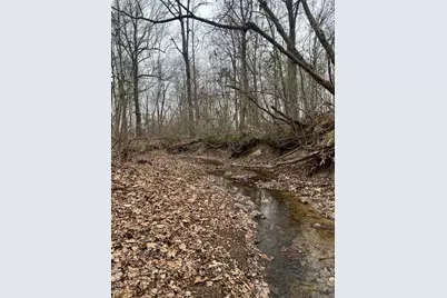 Highway T Forest Road 3697, Poplar Bluff, MO 63901 - Photo 21