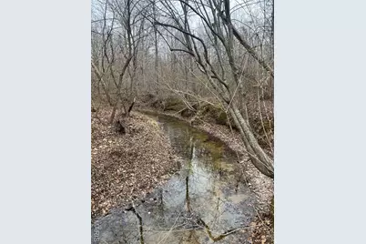 Highway T Forest Road 3697, Poplar Bluff, MO 63901 - Photo 17