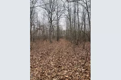 Highway T Forest Road 3697, Poplar Bluff, MO 63901 - Photo 7