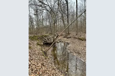 Highway T Forest Road 3697, Poplar Bluff, MO 63901 - Photo 3