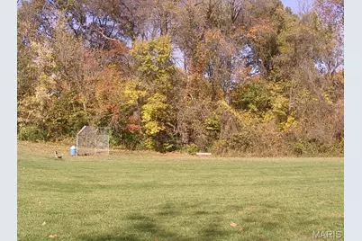 1946 Burlewood Drive, Saint Louis, MO 63146 - Photo 87