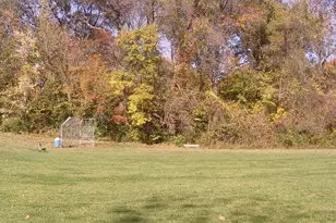 1946 Burlewood Dr, Saint Louis, MO 63146 - Photo 87