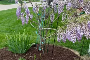 1405 Kearney Dr, Dardenne Prairie, MO 63368 - Photo 5