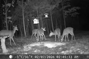 10270 Autumn Road, Cadet, MO 63630 - Photo 29