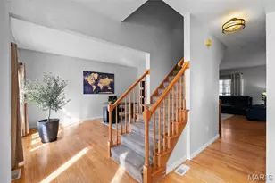 810 Wellesley Pl Dr, Chesterfield, MO 63017 - Photo 3