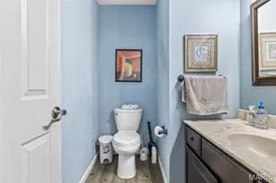 10 Crystal Lake Ct, Festus, MO 63028 - Photo 29