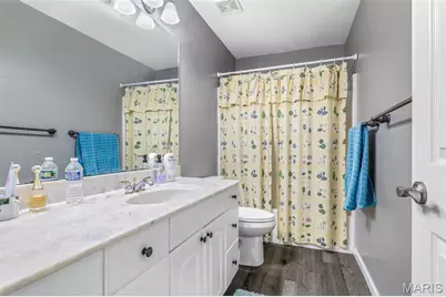 10 Crystal Lake Court, Festus, MO 63028 - Photo 65