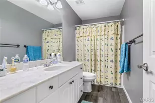 10 Crystal Lake Ct, Festus, MO 63028 - Photo 65