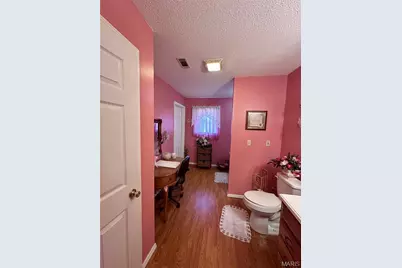 122 E Lewis Street, Lilbourn, MO 63862 - Photo 19