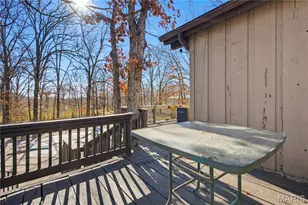 66 Co Rd 445, Poplar Bluff, MO 63901 - Photo 7