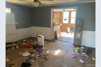 806 Butler Street, Hannibal, MO 63401 - Photo 3