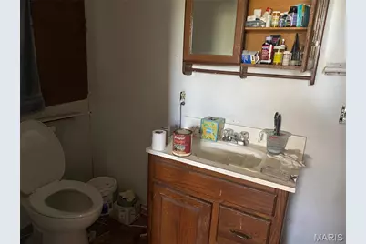 806 Butler Street, Hannibal, MO 63401 - Photo 7