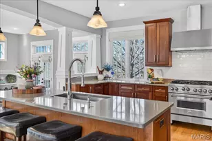 1303 Childress Ave, Saint Louis, MO 63139 - Photo 13