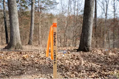 Lot 6-7 Wheel Estates, Villa Ridge, MO 63089 - Photo 9