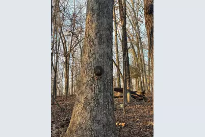 001 State Highway D, Greendale, MO 63944 - Photo 7