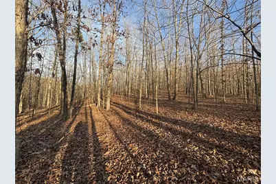 001 State Highway D, Greendale, MO 63944 - Photo 3