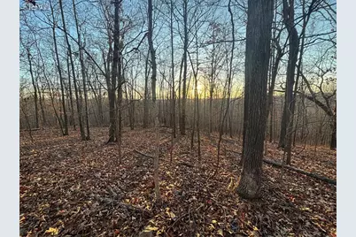 001 State Highway D, Greendale, MO 63944 - Photo 5